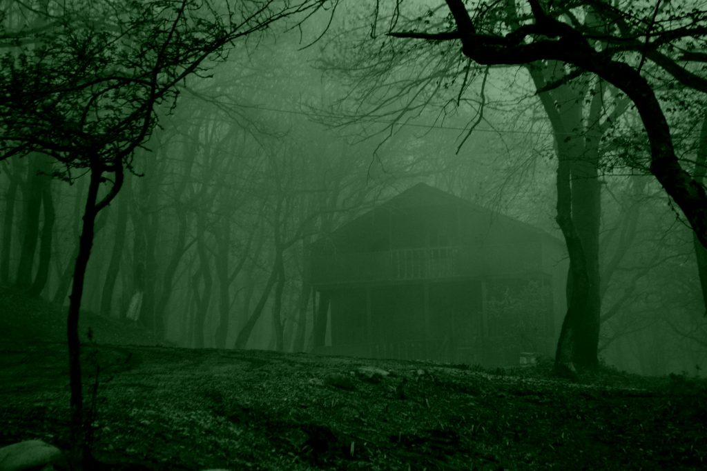 image by Fidan Nazim qizi (https://www.pexels.com/photo/bare-tree-near-brown-wooden-house-12266872/)